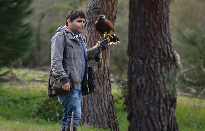 Falcoaria portuguesa classificada como Patrimnio Cultural Imaterial da UNESCO